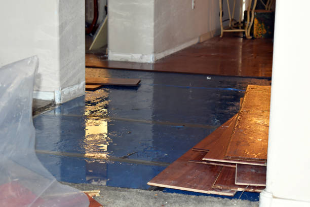 Professional Sewage Cleanup technician working in Meriden, CT